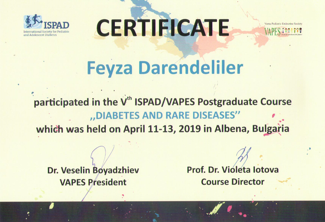 35th ISPAD-VAPES course photo 5.png