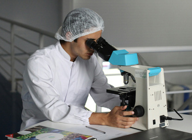 Male researcher looking through microscope