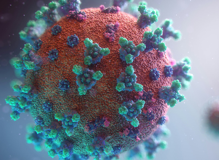 Covid-19-virus